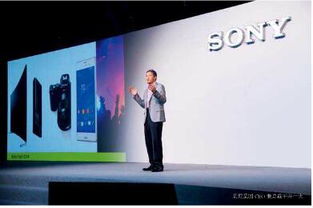 光影定格魅力瞬間——2014索尼魅力賞與中國攝影藝術的交融